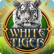 White Tiger