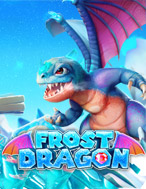 Frost Dragon