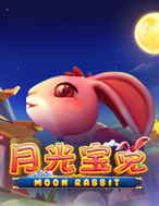 Moon Rabbit
