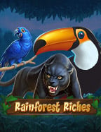 Rainforest Riches